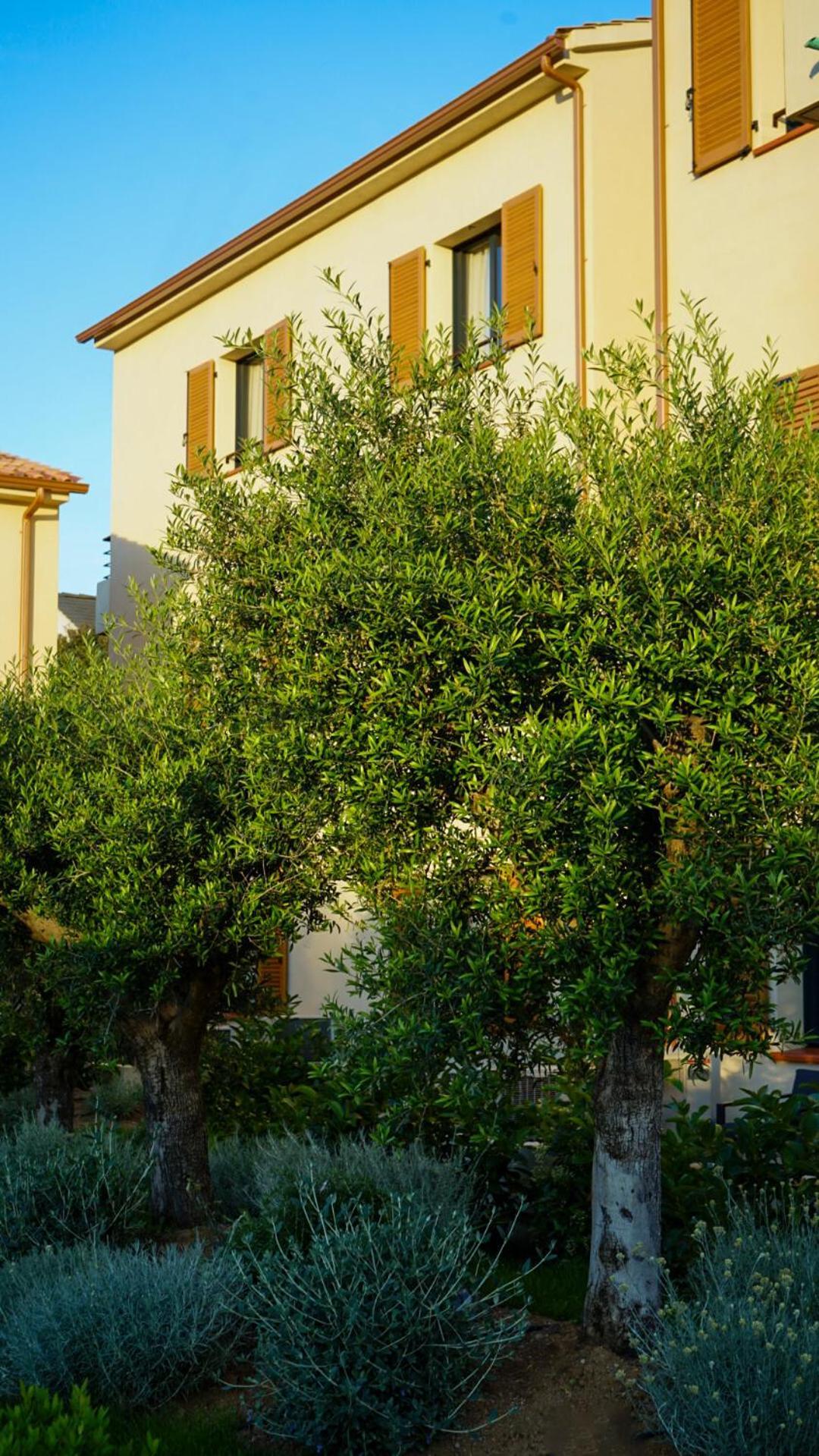 Residence Catalina Saint-Florent  Exteriér fotografie