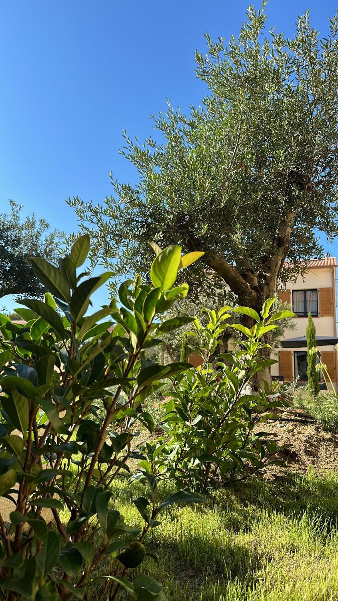 Residence Catalina Saint-Florent  Exteriér fotografie